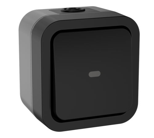 Переключатель 1кл. с подсв. 10А IP55 TS101 графит IEK	