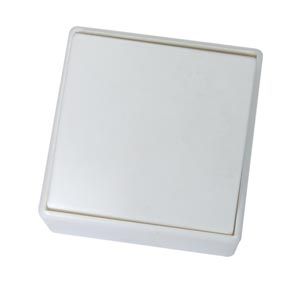 Выключатель 1кл о/п (большая клавиша) А16-114 Орша