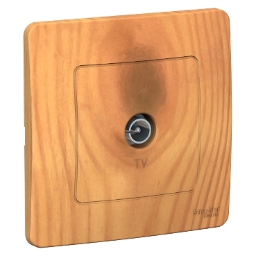 Розетка TV (оконечн) Blanca Ясень с/п  BLNTS000015 (6/60)