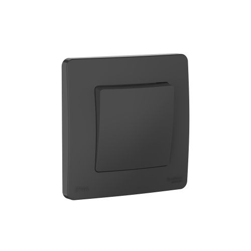 Переключатель 1-клавишный с/у  Blanca IP44 1-клавишный 10A, 250В, АНТРАЦИТ BLNVS410606_1