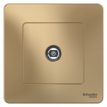 Розетка TV (оконечн) Blanca Титан с/п  BLNTS000014 (6/60)